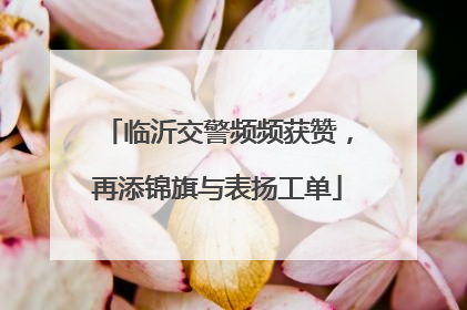 临沂交警频频获赞，再添锦旗与表扬工单