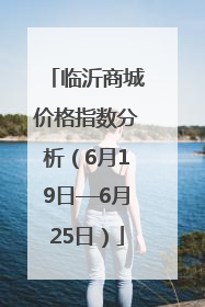 临沂商城价格指数分析（6月19日—6月25日）