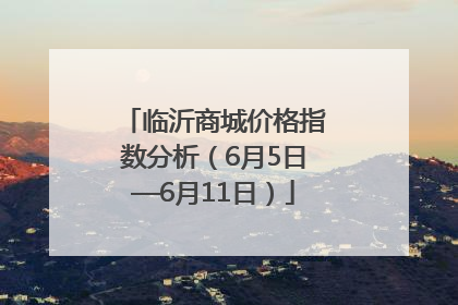 临沂商城价格指数分析（6月5日—6月11日）