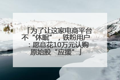为了让这家电商平台不“休眠”，铁粉用户：愿意花10万元认购原始股“应援”