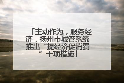 主动作为，服务经济，扬州市城管系统推出“提经济促消费”十项措施