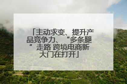 主动求变、提升产品竞争力、“多条腿”走路 跨境电商新大门在打开