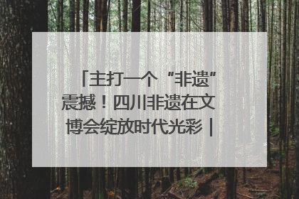 主打一个“非遗”震撼！四川非遗在文博会绽放时代光彩｜文博向“新”