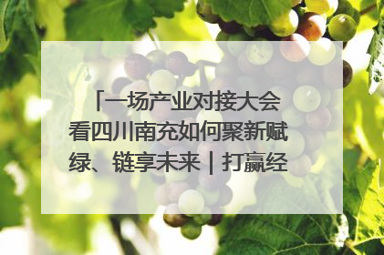 一场产业对接大会 看四川南充如何聚新赋绿、链享未来｜打赢经济发展翻身仗