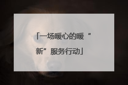 一场暖心的暖“新”服务行动