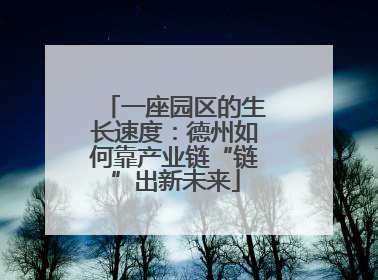 一座园区的生长速度：德州如何靠产业链“链”出新未来