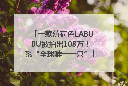 一款薄荷色LABUBU被拍出108万！系“全球唯一一只”