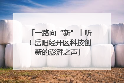一路向“新”丨听！岳阳经开区科技创新的澎湃之声