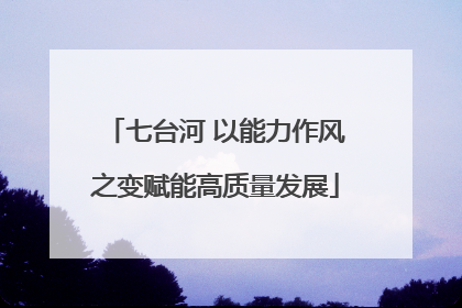 七台河 以能力作风之变赋能高质量发展