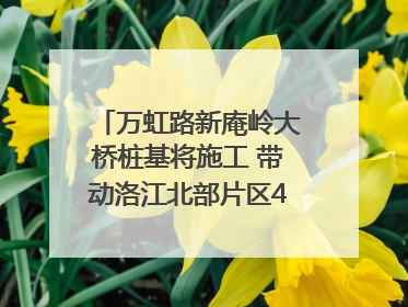 万虹路新庵岭大桥桩基将施工 带动洛江北部片区4个乡镇的发展
