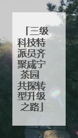 三级科技特派员齐聚咸宁茶园 共探转型升级之路