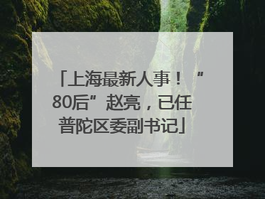 上海最新人事！“80后”赵亮，已任普陀区委副书记
