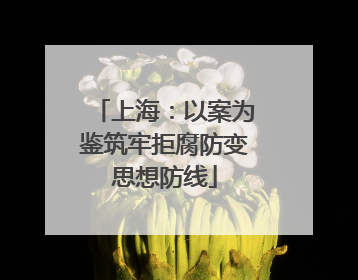 上海：以案为鉴筑牢拒腐防变思想防线