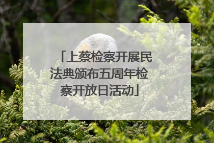 上蔡检察开展民法典颁布五周年检察开放日活动