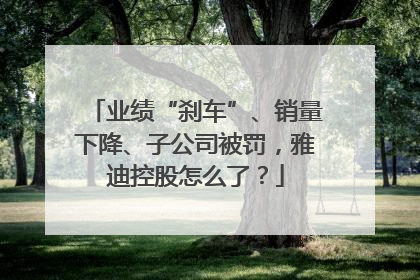 业绩“刹车”、销量下降、子公司被罚，雅迪控股怎么了？