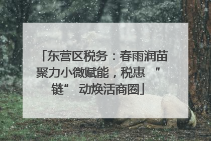 东营区税务：春雨润苗聚力小微赋能，税惠 “链” 动焕活商圈