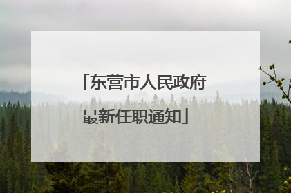 东营市人民政府最新任职通知