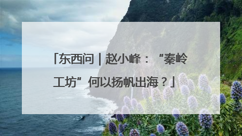 东西问｜赵小峰：“秦岭工坊”何以扬帆出海？