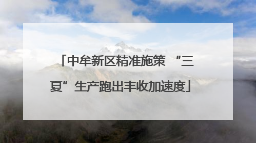 中牟新区精准施策 “三夏”生产跑出丰收加速度
