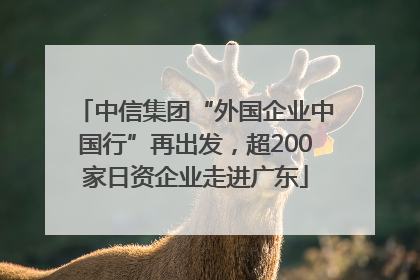 中信集团“外国企业中国行”再出发，超200家日资企业走进广东
