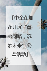 中企在加蓬开展“童心同路，筑梦未来”公益活动