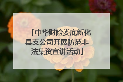 中华财险娄底新化县支公司开展防范非法集资宣讲活动