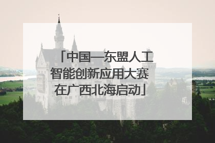 中国—东盟人工智能创新应用大赛在广西北海启动