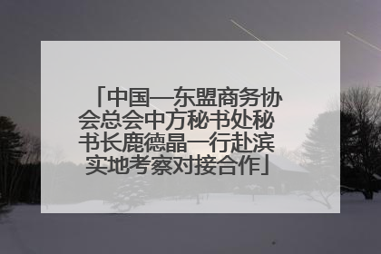 中国—东盟商务协会总会中方秘书处秘书长鹿德晶一行赴滨实地考察对接合作