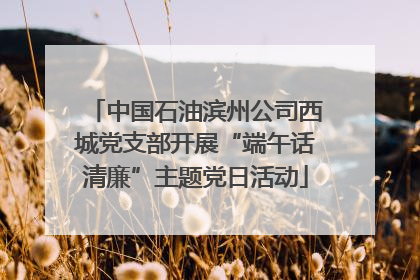 中国石油滨州公司西城党支部开展“端午话清廉”主题党日活动