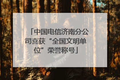 中国电信济南分公司喜获“全国文明单位”荣誉称号