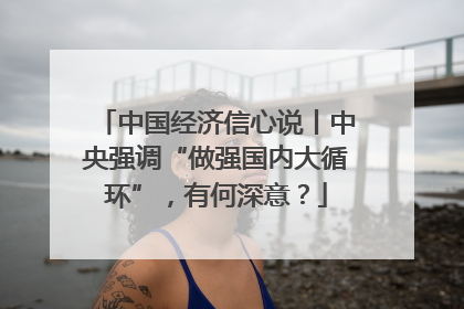 中国经济信心说丨中央强调“做强国内大循环”，有何深意？