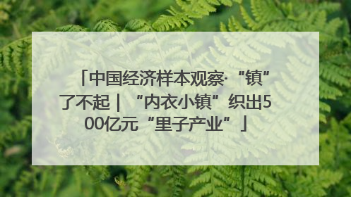 中国经济样本观察·“镇”了不起｜“内衣小镇”织出500亿元“里子产业”