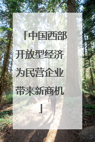 中国西部开放型经济为民营企业带来新商机