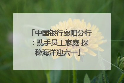 中国银行襄阳分行：携手员工家庭 探秘海洋迎六一