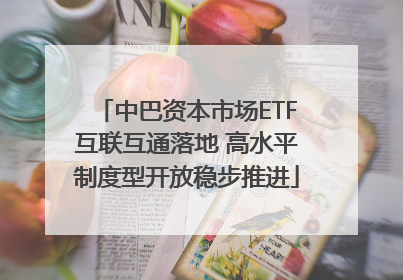 中巴资本市场ETF互联互通落地 高水平制度型开放稳步推进
