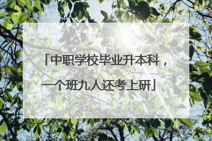 中职学校毕业升本科，一个班九人还考上研