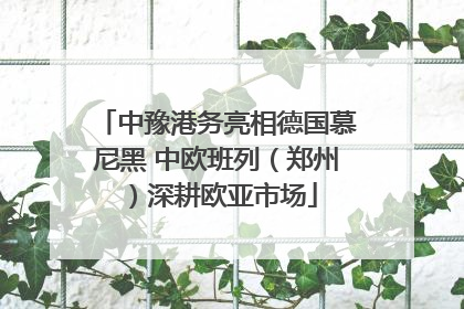 中豫港务亮相德国慕尼黑 中欧班列（郑州）深耕欧亚市场