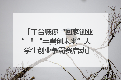 丰台喊你“回家创业”！“丰翼创未来”大学生创业争霸赛启动