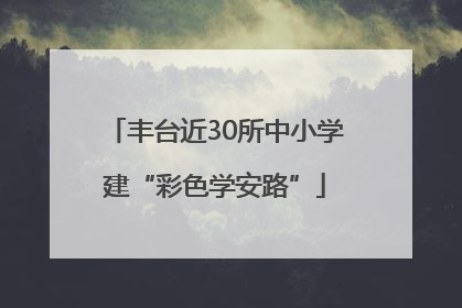 丰台近30所中小学建“彩色学安路”