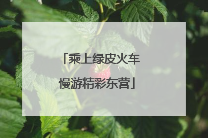 乘上绿皮火车 慢游精彩东营