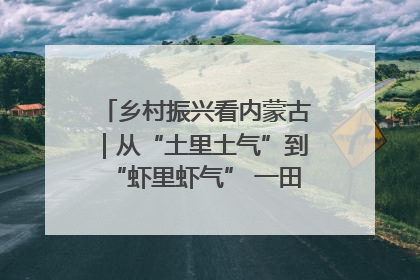 乡村振兴看内蒙古｜从“土里土气”到“虾里虾气” 一田双收模式火出圈