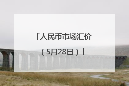 人民币市场汇价（5月28日）