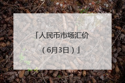 人民币市场汇价（6月3日）