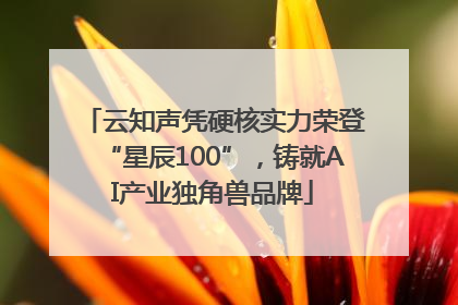 云知声凭硬核实力荣登“星辰100”，铸就AI产业独角兽品牌
