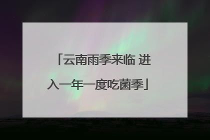 云南雨季来临 进入一年一度吃菌季