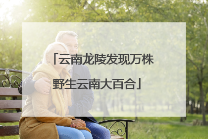 云南龙陵发现万株野生云南大百合
