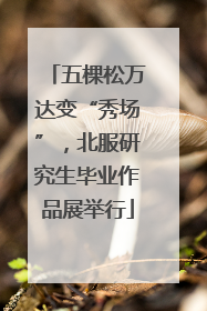 五棵松万达变“秀场”，北服研究生毕业作品展举行