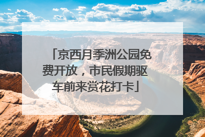 京西月季洲公园免费开放，市民假期驱车前来赏花打卡