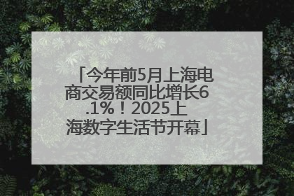 今年前5月上海电商交易额同比增长6.1%！2025上海数字生活节开幕