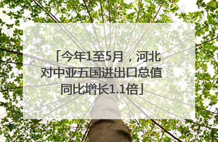 今年1至5月，河北对中亚五国进出口总值同比增长1.1倍